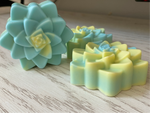 Succulent Soap